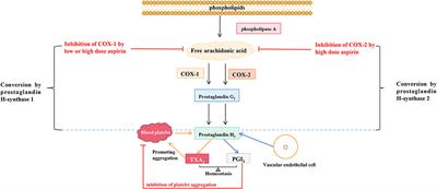 Application of low dose aspirin in pre-eclampsia
